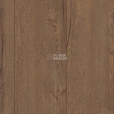 Kronotex Exquisit 8мм d41172 Дуб Горизонт кофе фото 5 | FLOORDEALER